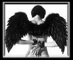 1Dark_Angel