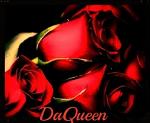 DAQUEEN_DQD