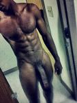 Dark_Stallion00