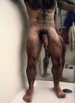 Sir_Hairy_Daddy