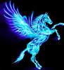 pegasus_2222