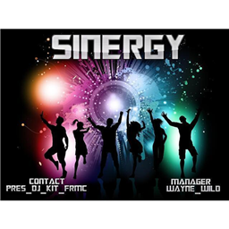 SINERGY_DT