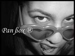 Pan_Box