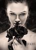 _Black_Rose_